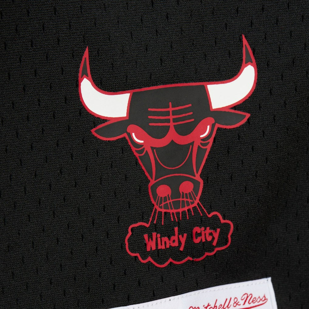 Dennis Rodman Chicago Bulls Mesh Name & Number Short Sleeve Hoodie Black - Mitchell & Ness