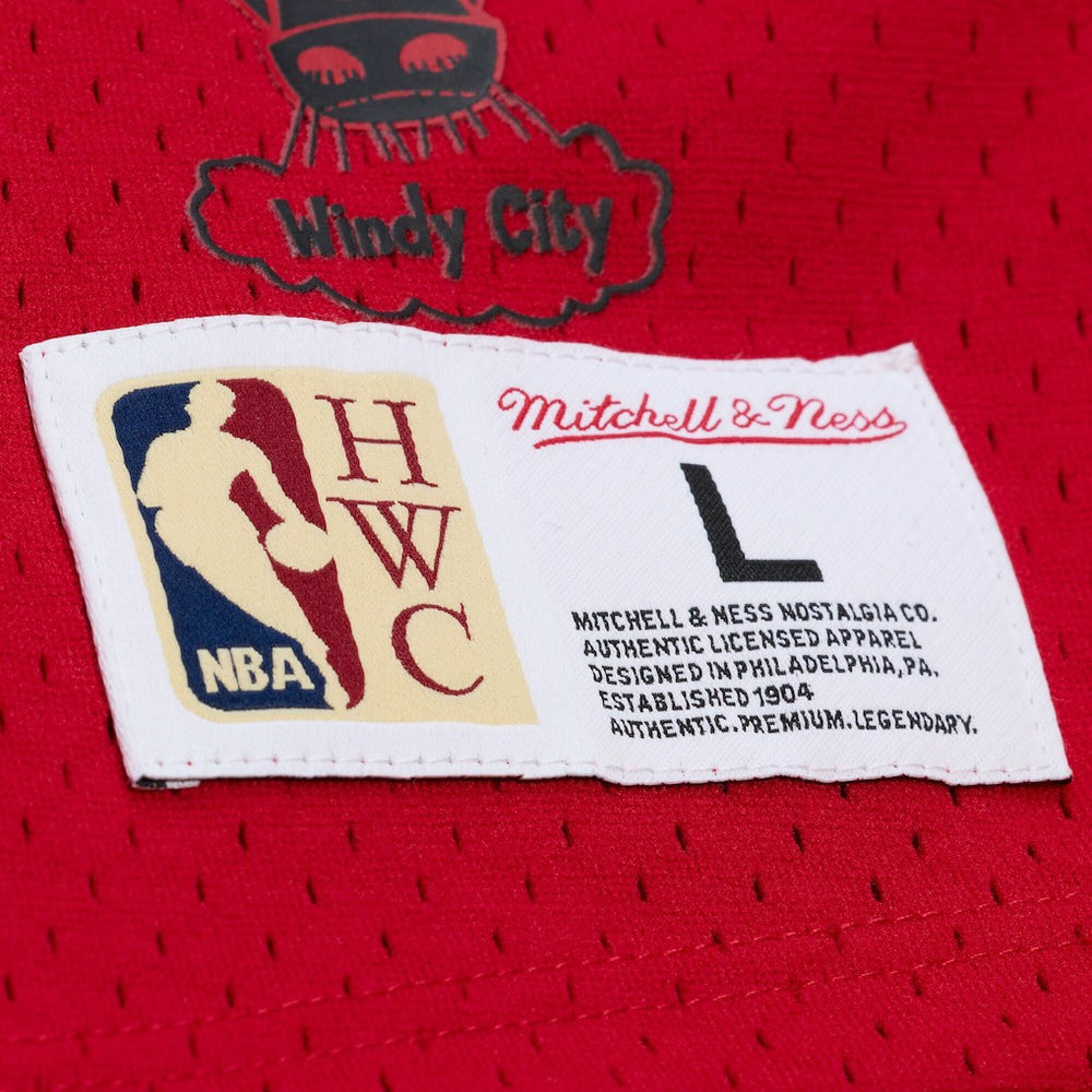 Scottie Pippen Chicago Bulls Mesh Name & Number Short Sleeve Hoodie Red - Mitchell & Ness