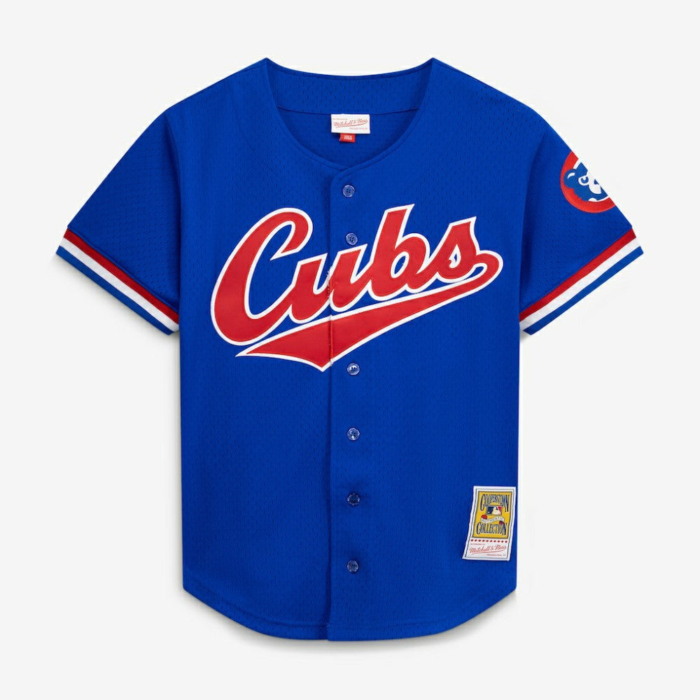 Ryne Sandberg Chicago Cubs Mitchell & Ness Cooperstown Collection 1996 Mesh Batting Practice Button-Up Jersey - Royal Jerseys