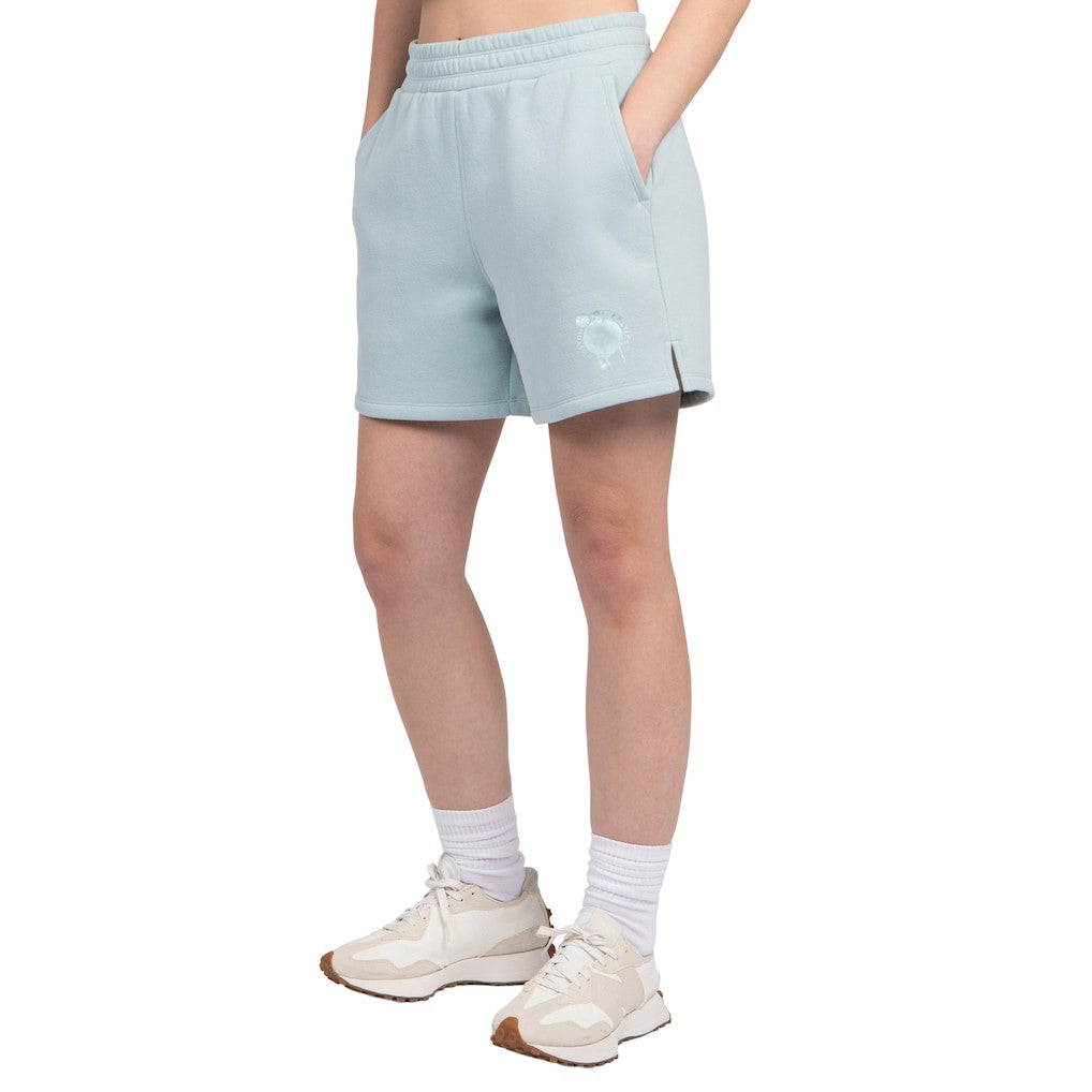 Boston Celtics Starter Women's Pastel High Waisted Shorts Light Blue