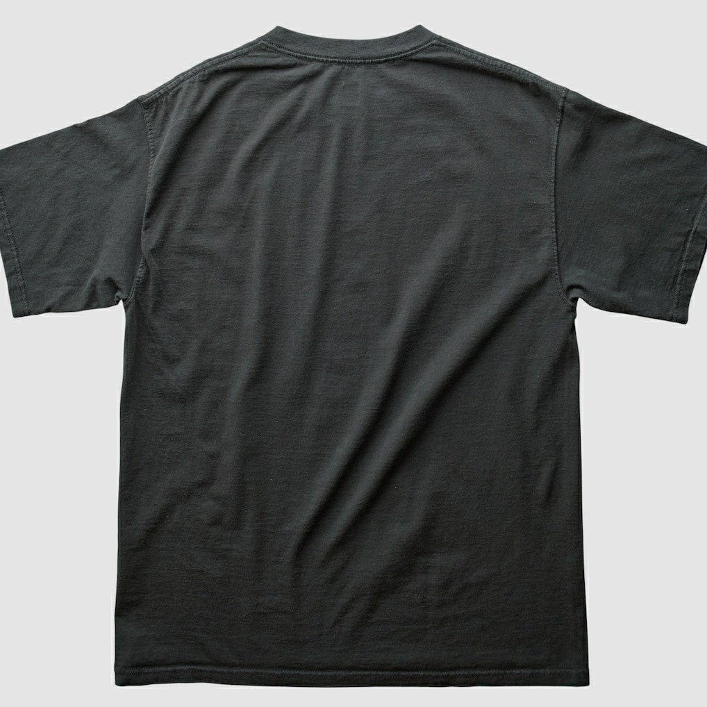 Pittsburgh Steelers NFL 2000s T-shirt - Black T-shirts