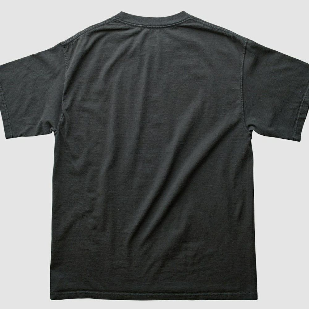 Pittsburgh Steelers NFL 2000s T-shirt - Black T-shirts