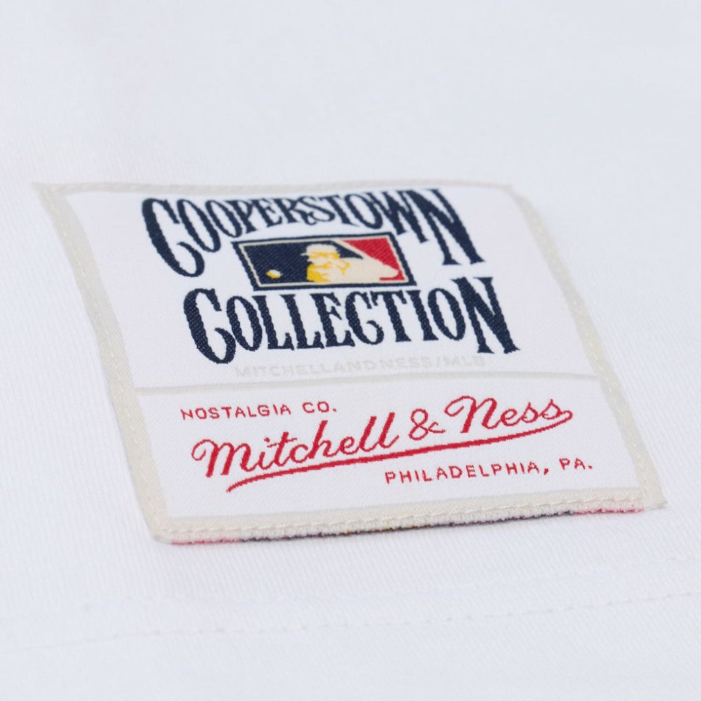 Los Angeles Dodgers Mitchell & Ness Cooperstown Collection Arctic T-Shirt - White T-shirts