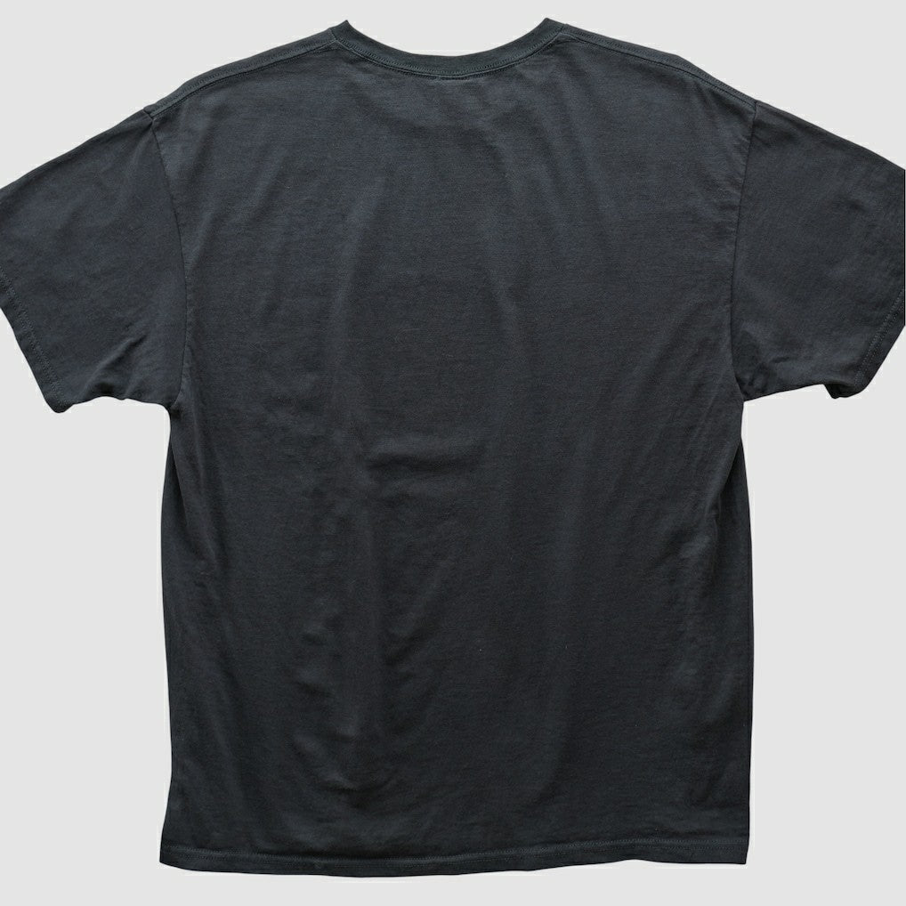 Pittsburgh Steelers NFL 2000s T-shirt - Black T-shirts