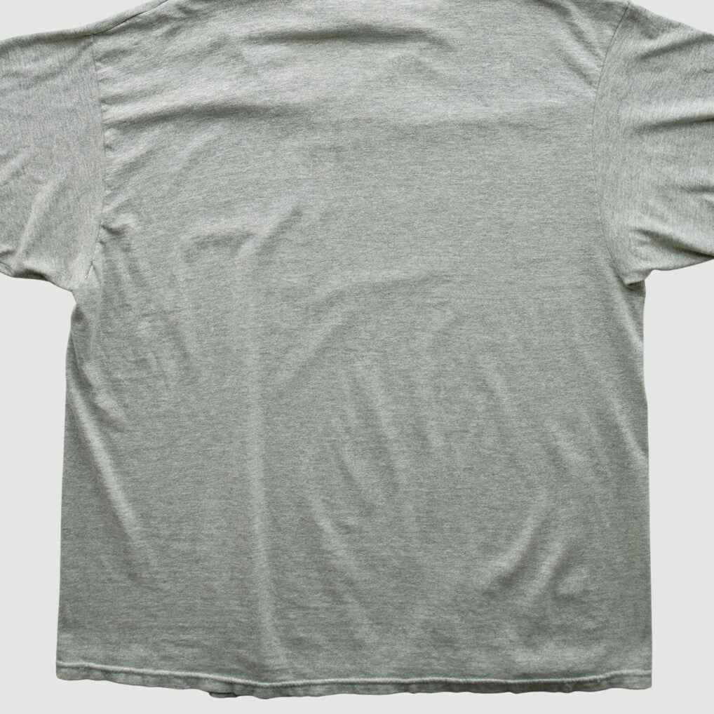 Indianapolis Colts Champion 2000s T-shirt - Heather Gray T-shirts