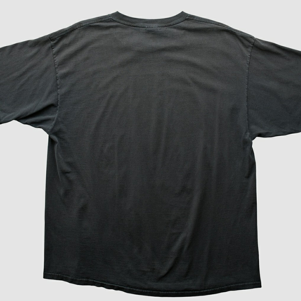 Pittsburgh Steelers NFL 2000s T-shirt - Black T-shirts
