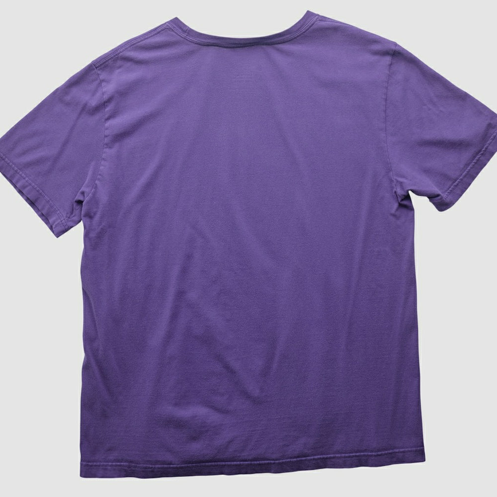 Minnesota Vikings 2010s T-shirt - Purple T-shirts