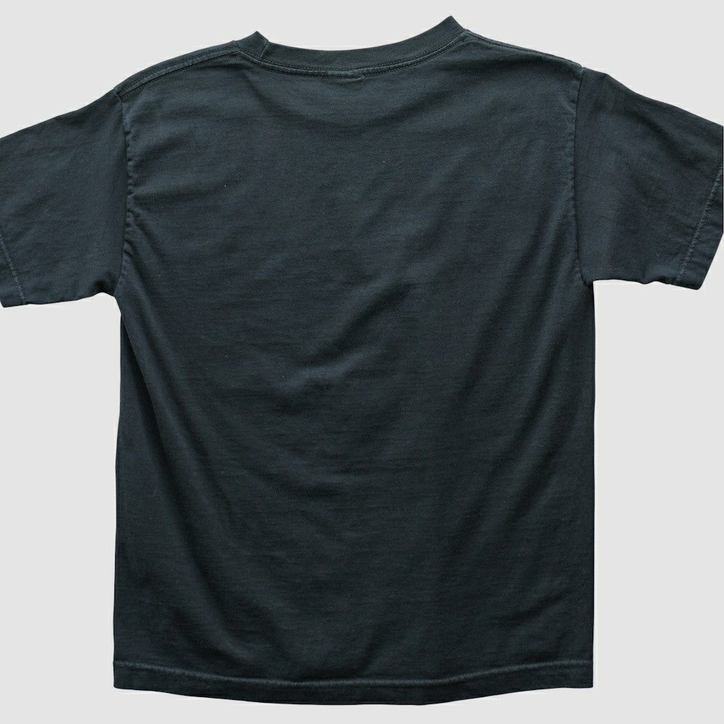 Philadelphia Eagles Alstyle 2004 T-shirt - Black T-shirts
