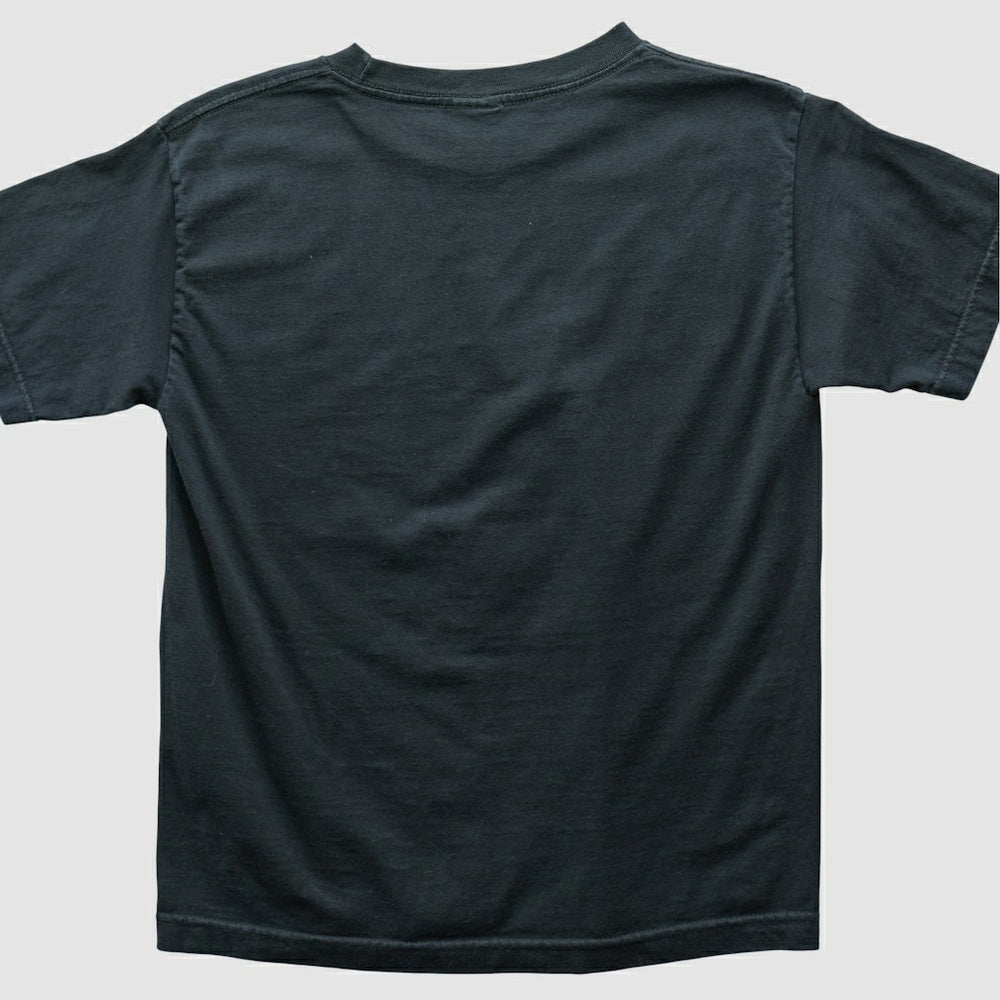 Philadelphia Eagles Alstyle 2004 T-shirt - Black T-shirts