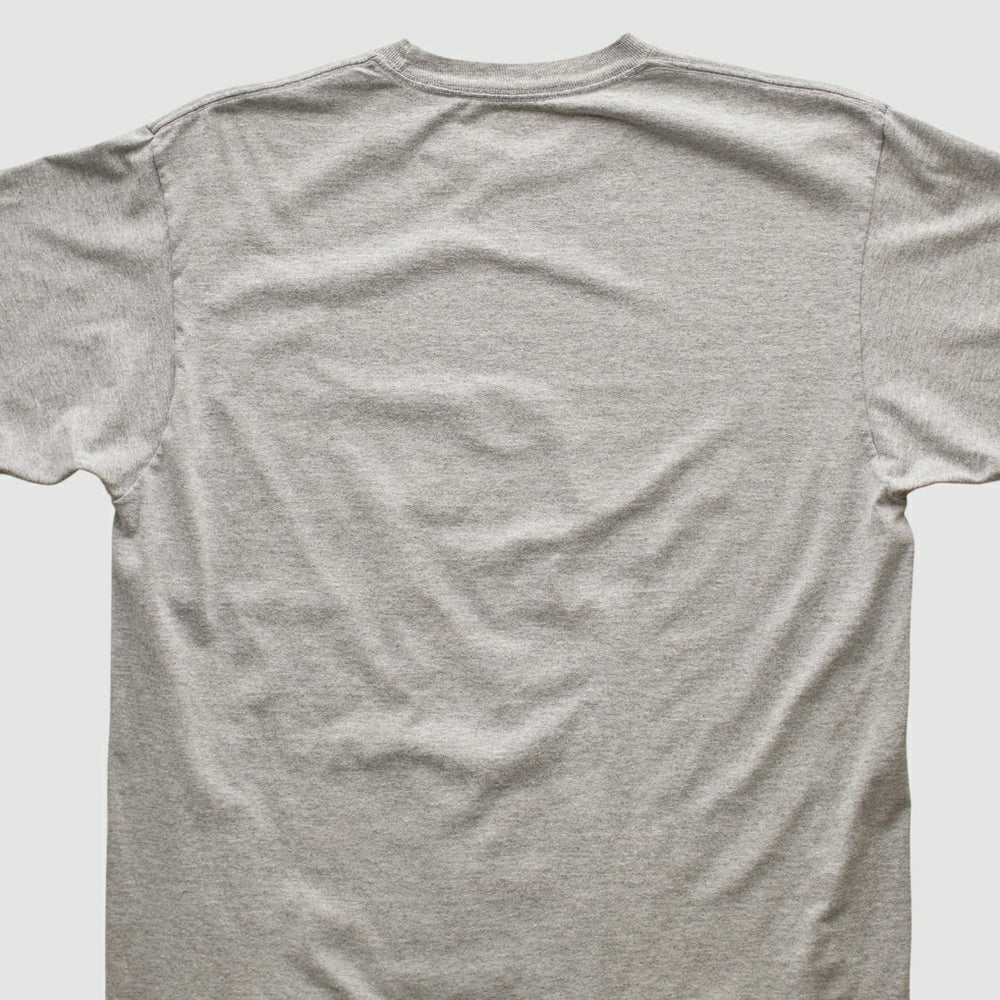 Pittsburgh Steelers Reebok 2006 T-shirt - Heather Gray T-shirts
