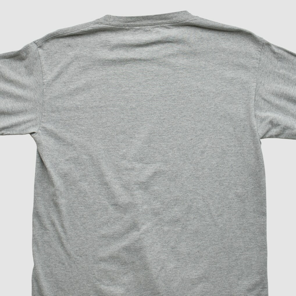 Green Bay Packers NFL 2010 Long Sleeve T-shirt - Heather Gray T-shirts