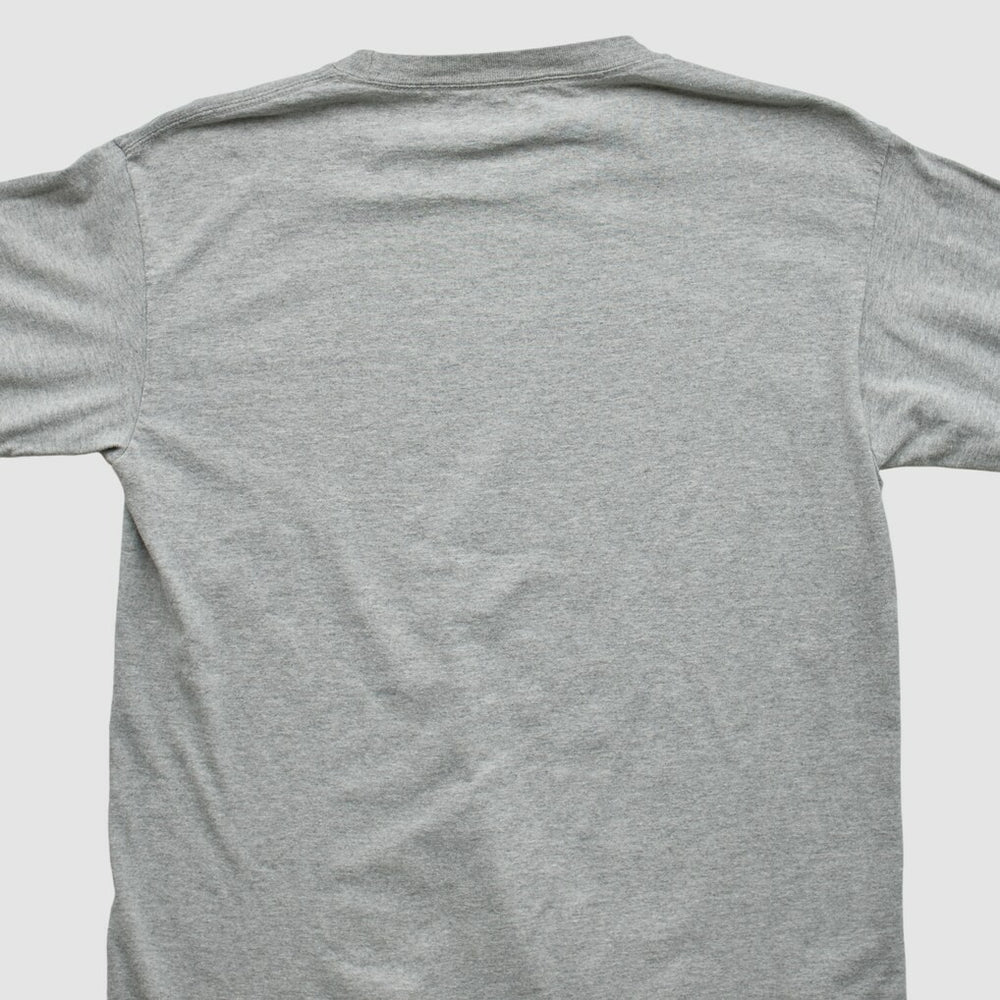 Green Bay Packers NFL 2010 Long Sleeve T-shirt - Heather Gray T-shirts
