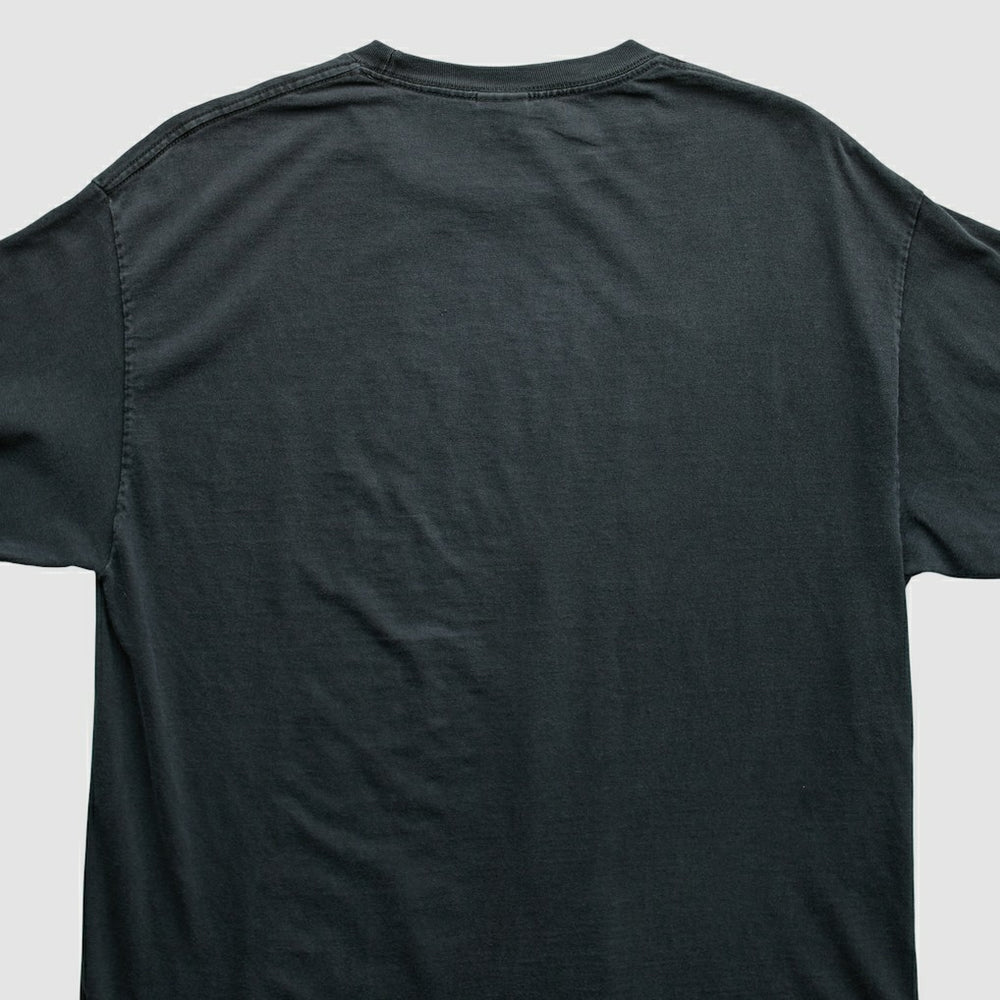 Pittsburgh Steelers Alstyle Apparel 2006 Long Sleeve T-shirt - Black T-shirts