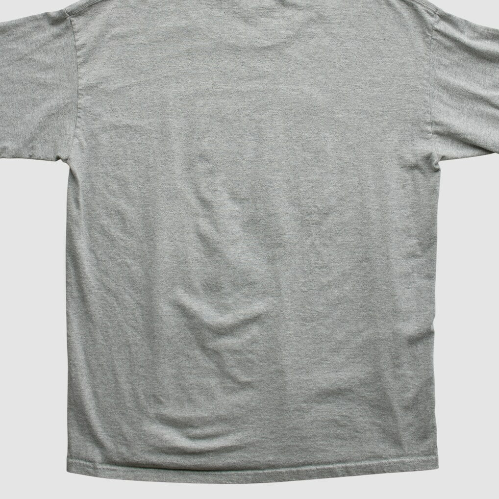 Indianapolis Colts 2000s Long Sleeve T-shirt - Heather Gray T-shirts