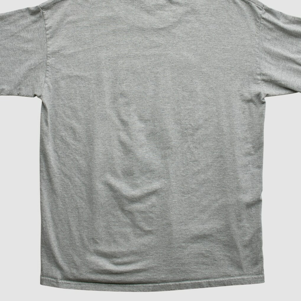Indianapolis Colts 2000s Long Sleeve T-shirt - Heather Gray T-shirts