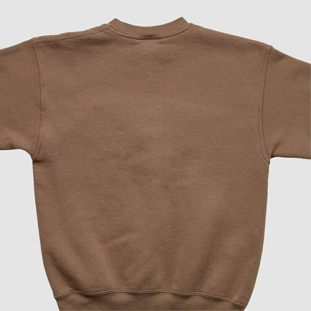 Cleveland Browns Pro Player 2000s Pullover Sweatshirt - Brown Pullover