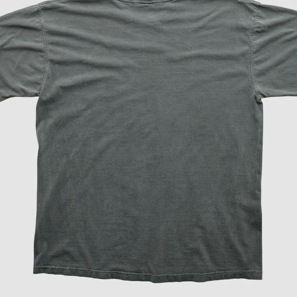 Cleveland Browns NFL Pro Line 2010s T-shirt - Charcoal T-shirts