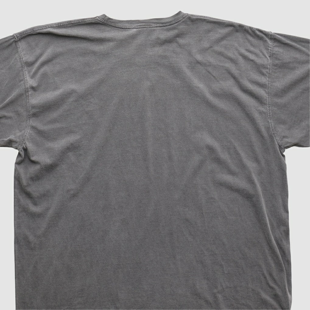 Cleveland Browns NFL 2010s T-shirt - Charcoal T-shirts