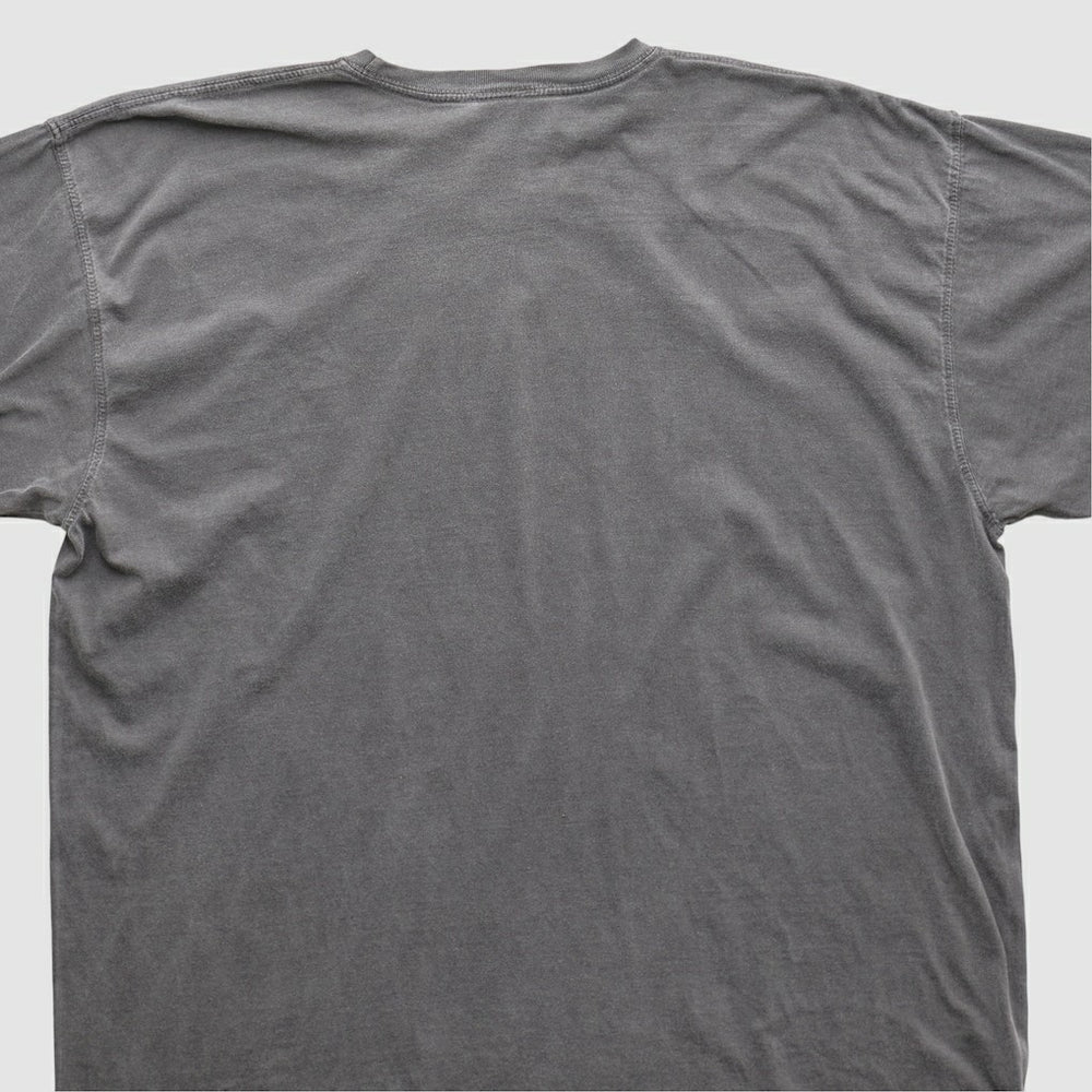 Cleveland Browns NFL 2010s T-shirt - Charcoal T-shirts