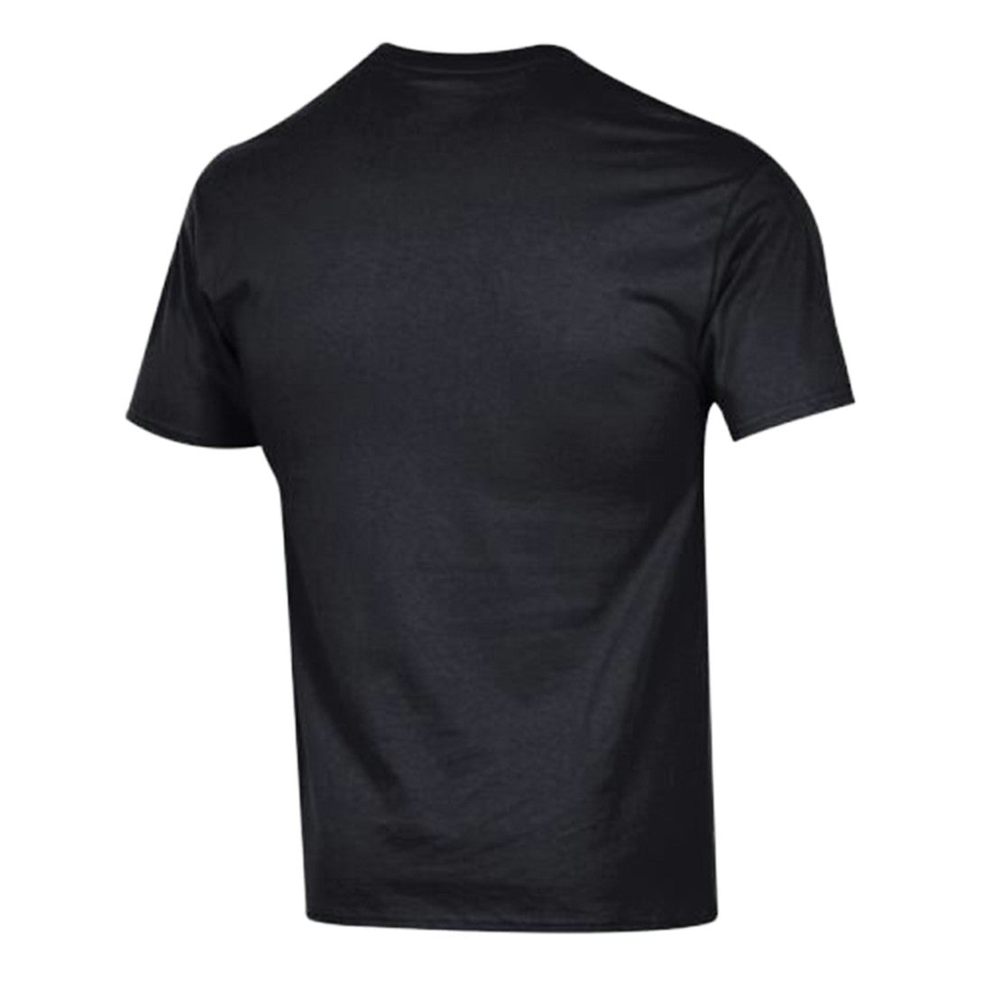Detroit Lions Champion Arch Over Logo T-Shirt - Black T-shirts