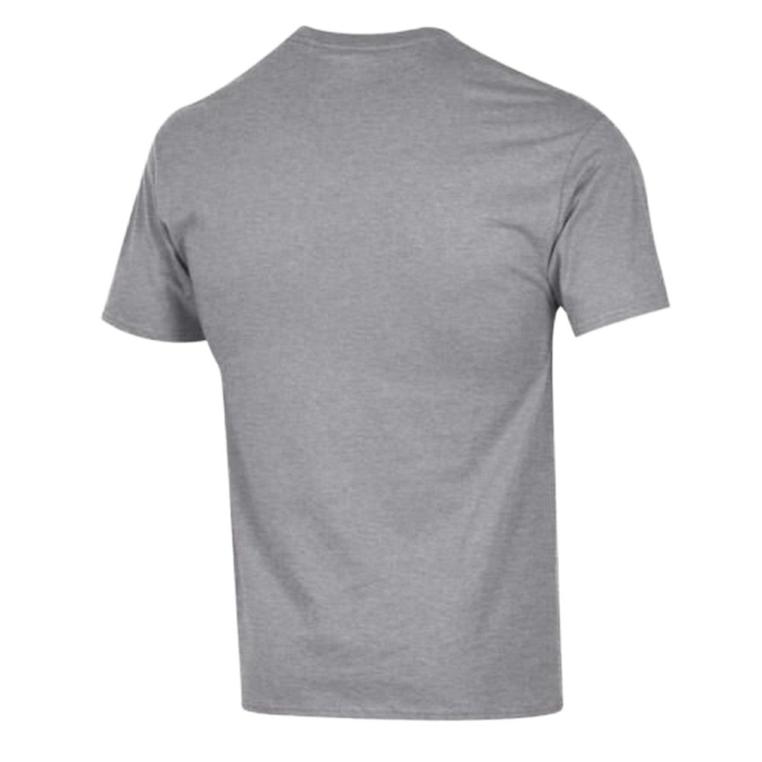 Detroit Lions Champion Arch Over Logo T-Shirt - Gray T-shirts