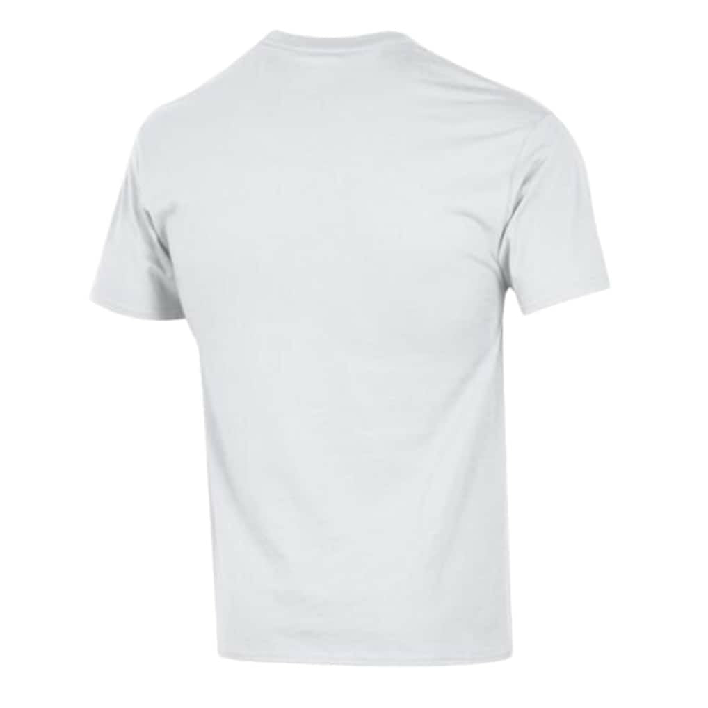 Miami Dolphins Champion Arch Over Logo T-Shirt - White T-shirts