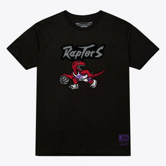Toronto Raptors Unisex Hardwood Classics Arch T-Shirt Black - Mitchell & Ness
