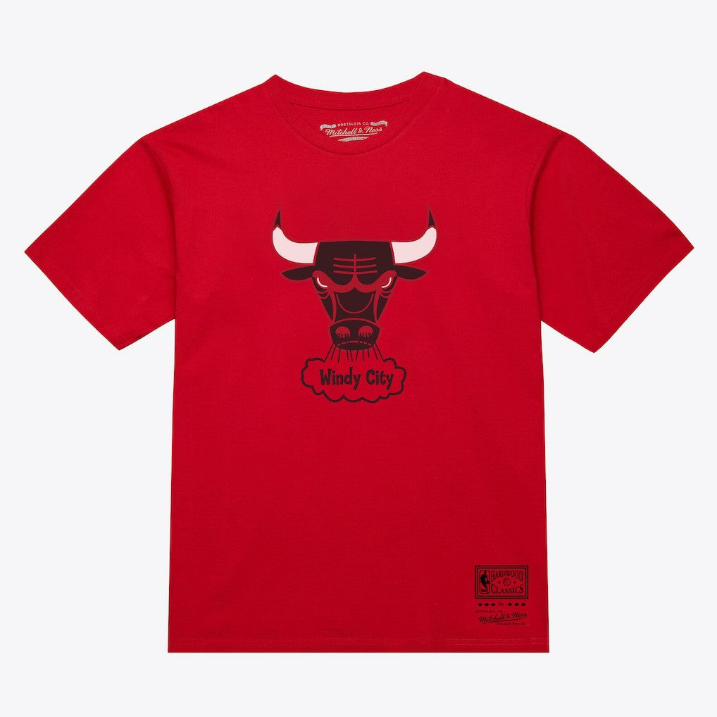 Chicago Bulls Unisex Hardwood Classics Arch T-Shirt Red - Mitchell & Ness