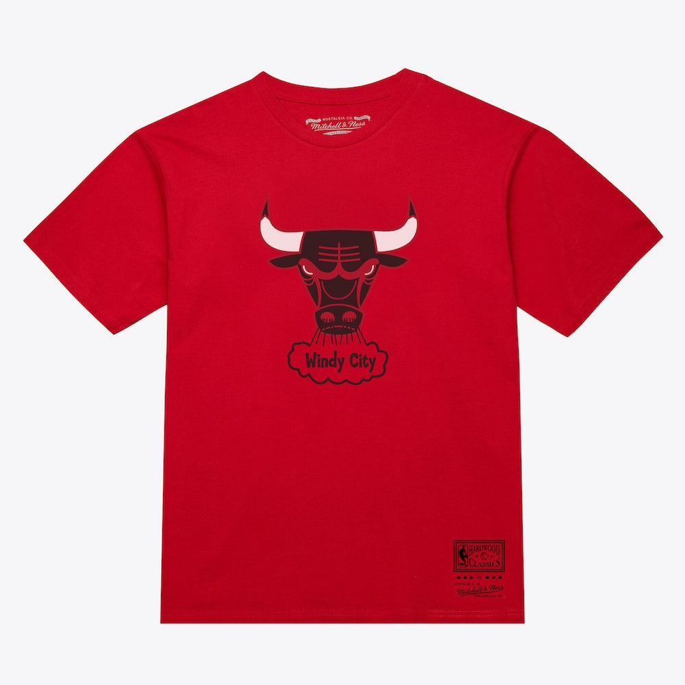 Chicago Bulls Unisex Hardwood Classics Arch T-Shirt Red - Mitchell & Ness