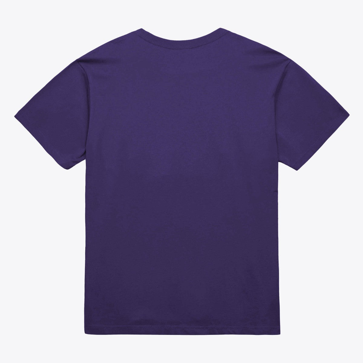 Phoenix Suns Unisex Hardwood Classics Arch T-Shirt Purple - Mitchell & Ness