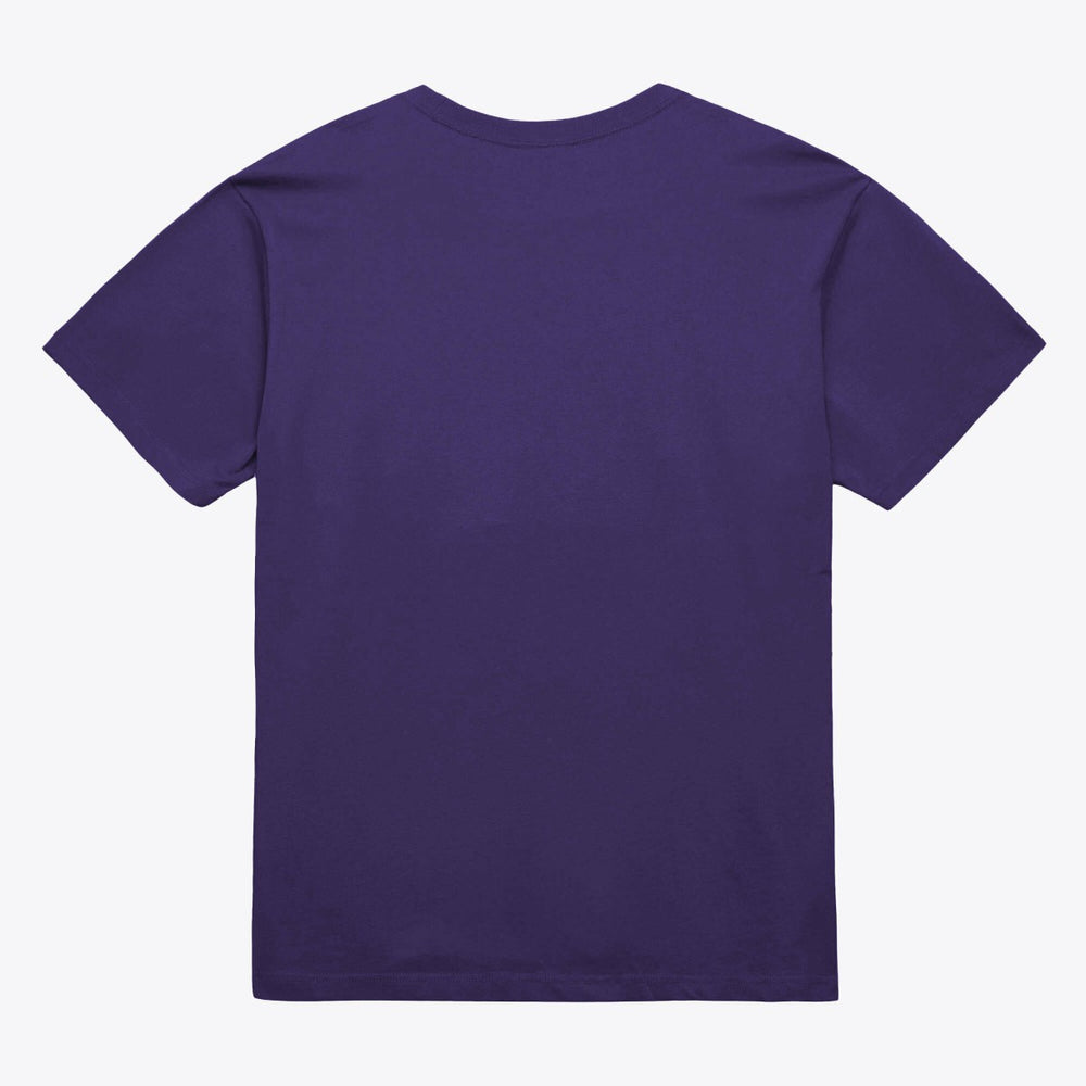 Phoenix Suns Unisex Hardwood Classics Arch T-Shirt Purple - Mitchell & Ness