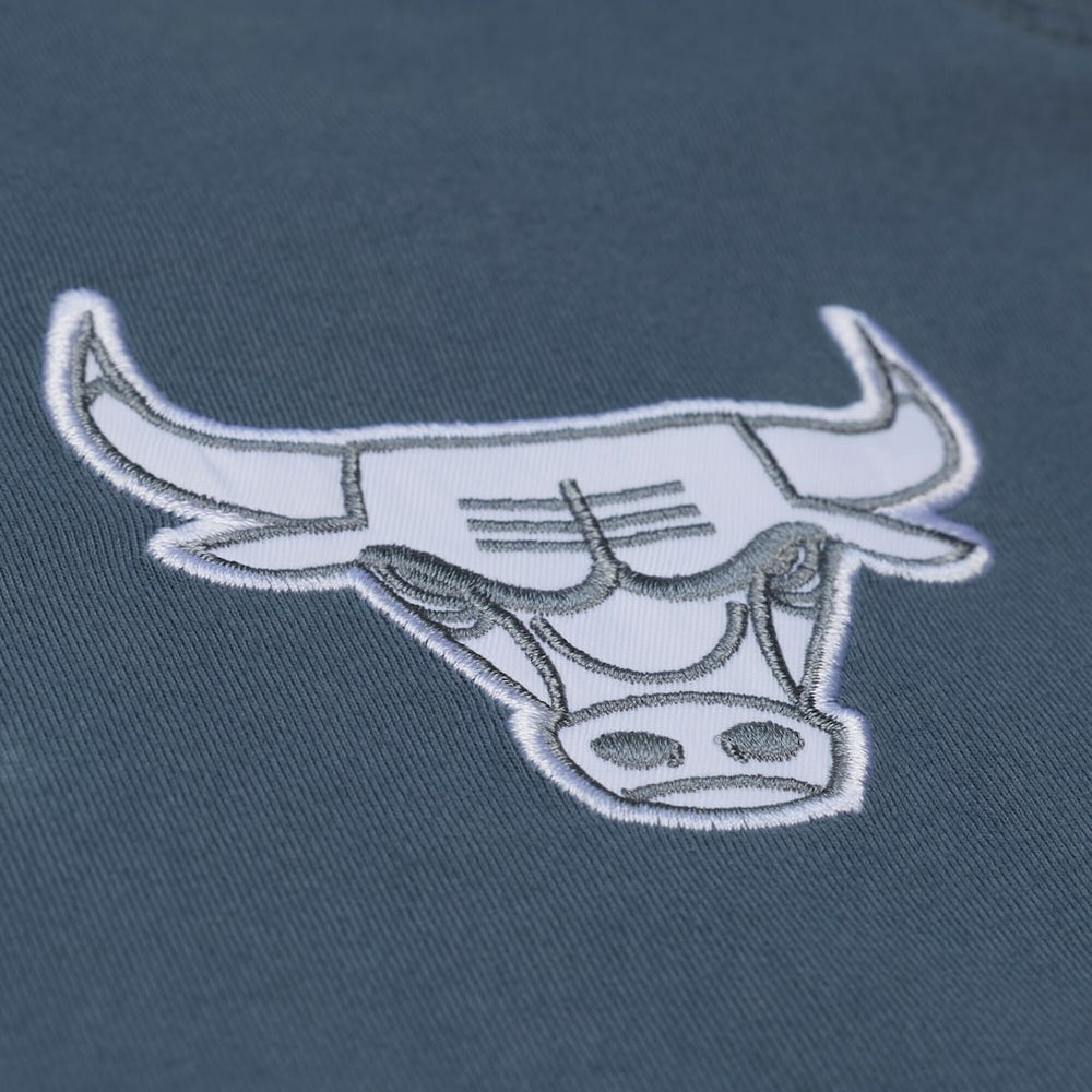 Chicago Bulls Thunderstorm T-Shirt Blue - Mitchell & Ness