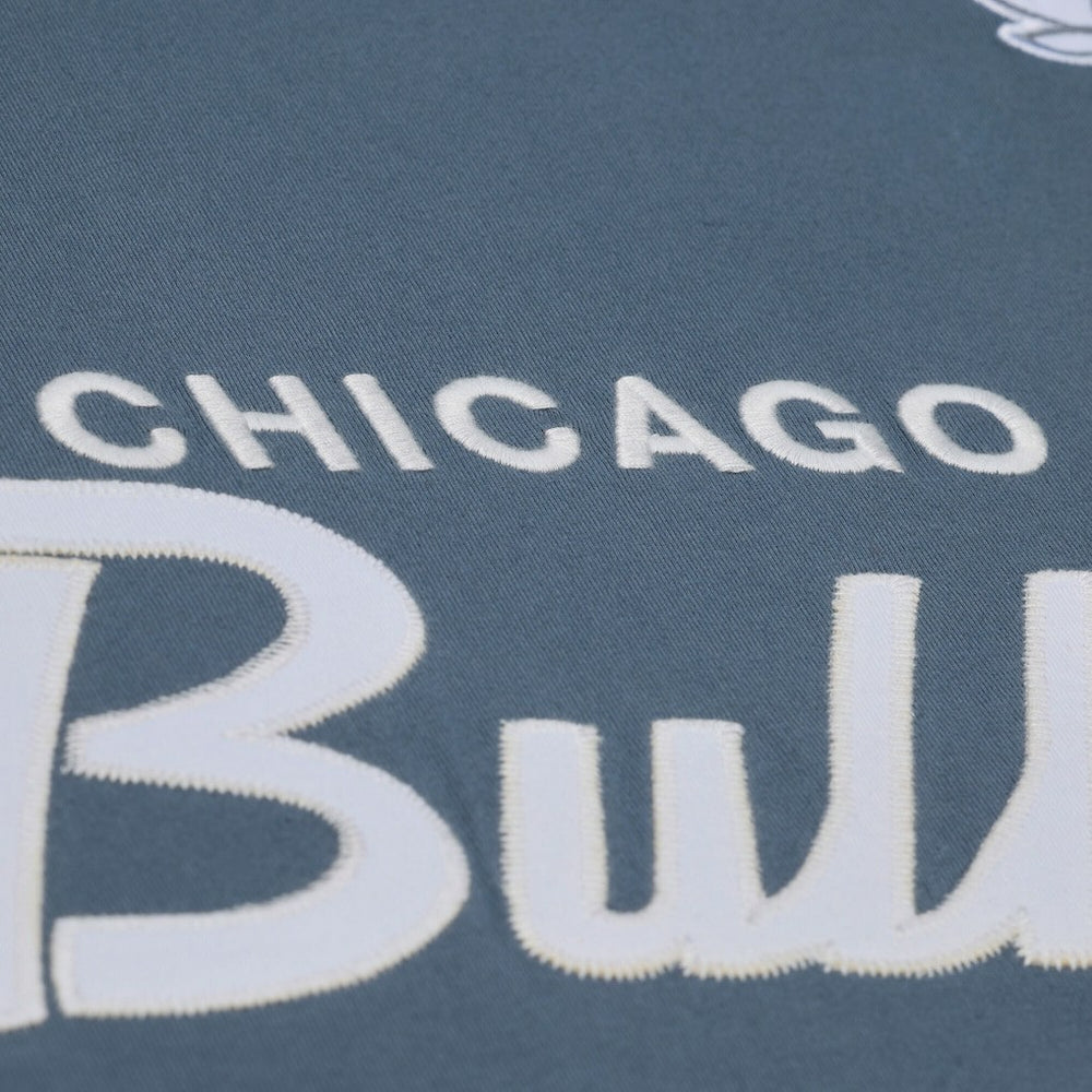 Chicago Bulls Thunderstorm T-Shirt Blue - Mitchell & Ness