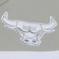 Chicago Bulls Thunderstorm Head Coach Quarter-Zip Jacket Blue - Mitchell & Ness