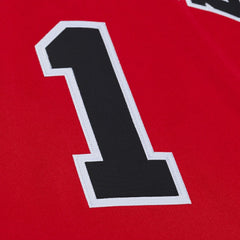 Derrick Rose Chicago Bulls 2008-09 Authentic Jersey Red - Mitchell & Ness