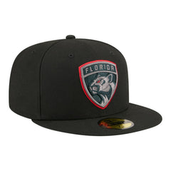 Florida Panthers New Era Color Pop 59FIFTY Fitted Hat - Black | US 203778849