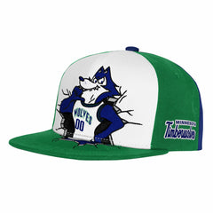 Minnesota Timberwolves Youth Mascot Snapback Hat Green - Mitchell & Ness