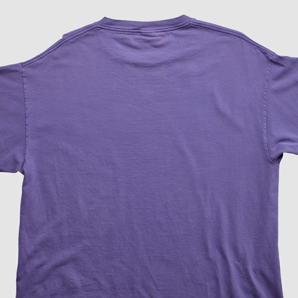 Minnesota Vikings Lee Apparel 2000s T-shirt - Purple T-shirts