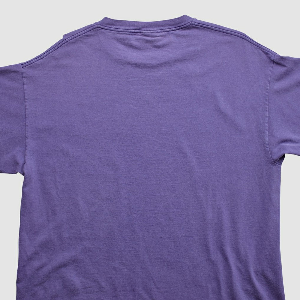 Minnesota Vikings Lee Apparel 2000s T-shirt - Purple T-shirts
