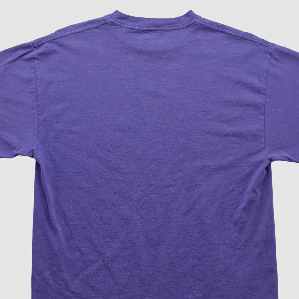 Minnesota Vikings Tultex 90s T-shirt - Purple T-shirts