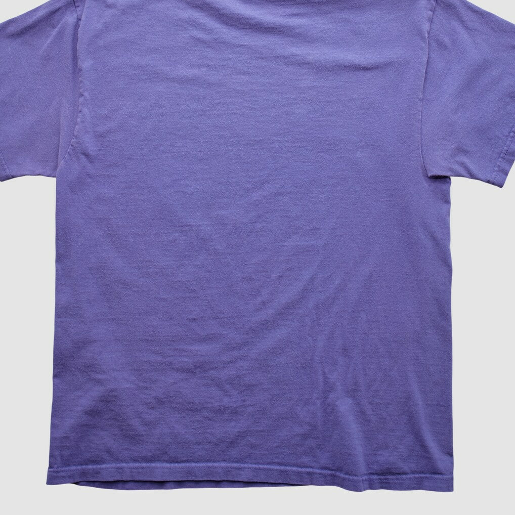 Minnesota Vikings NFL 2000s T-shirt - Purple T-shirts