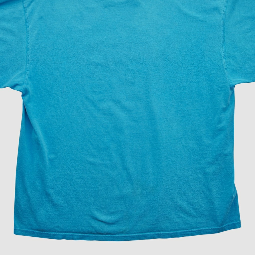 Carolina Panthers NFL 2000s T-shirt - Blue T-shirts