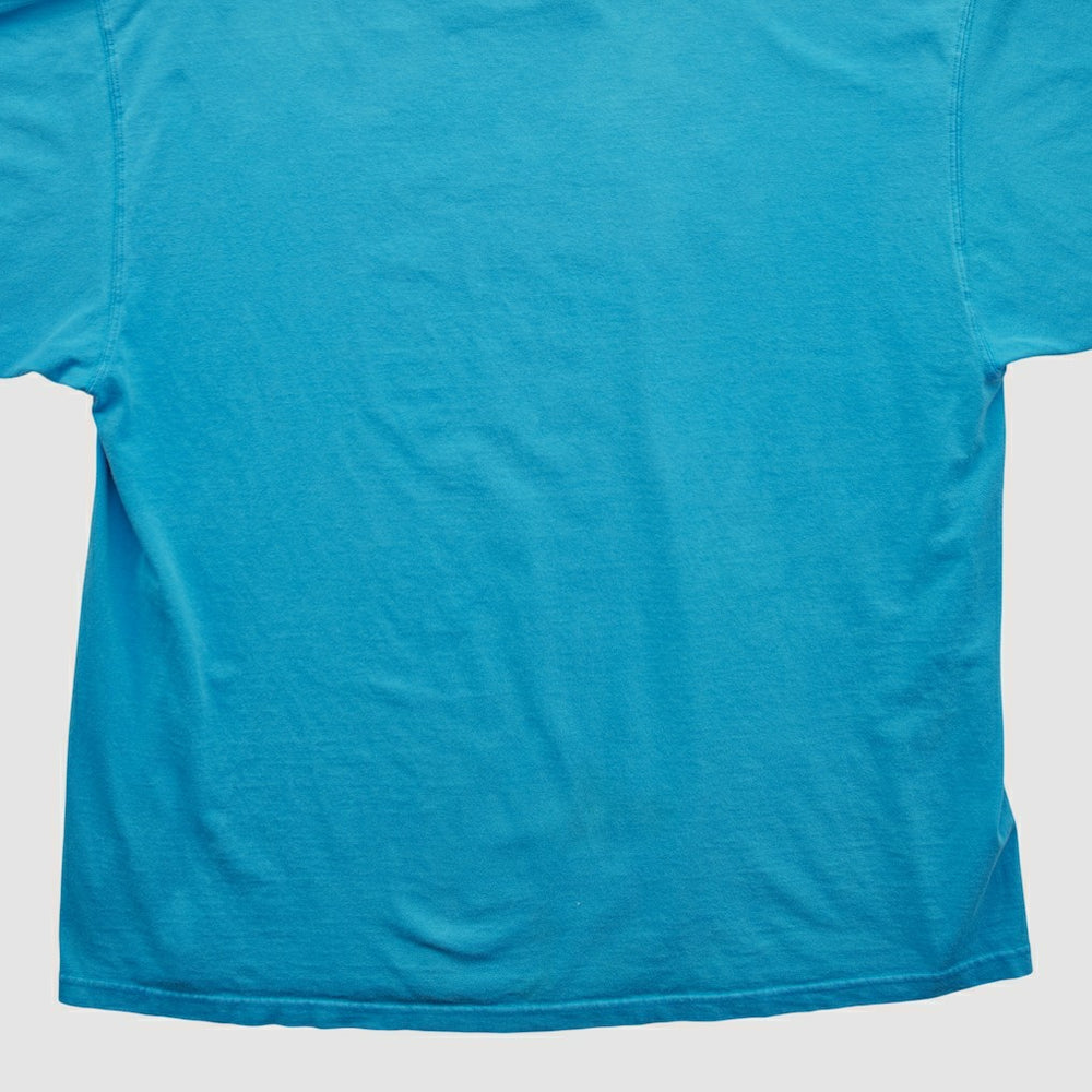 Carolina Panthers NFL 2000s T-shirt - Blue T-shirts