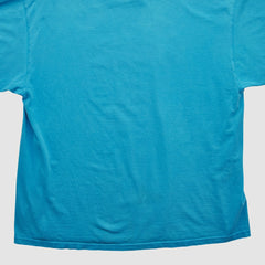 Carolina Panthers NFL 2000s T-shirt - Blue T-shirts