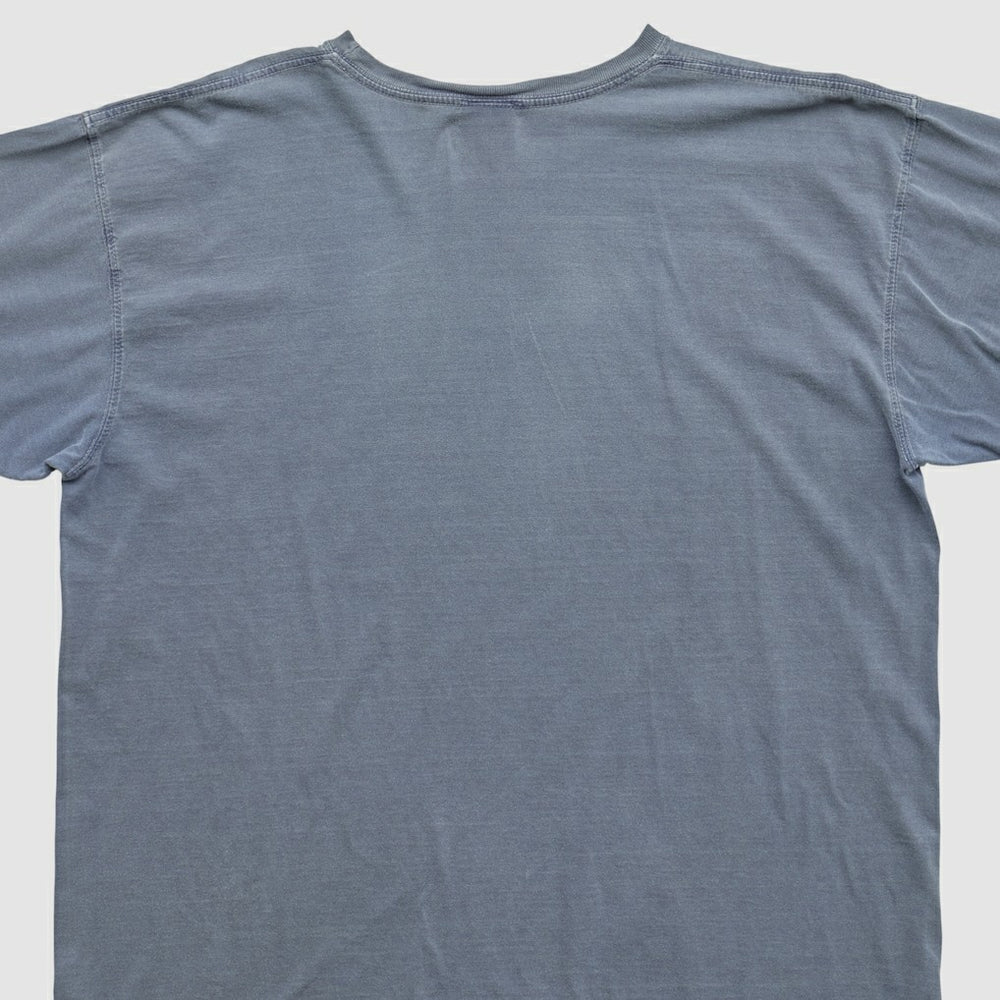 New England Patriots NFL 2010s T-shirt - Blue T-shirts