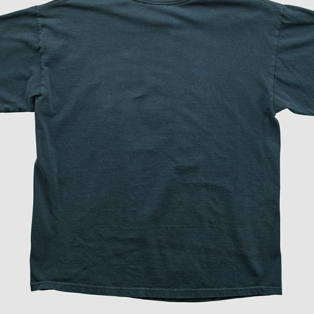 Pittsburgh Steelers NFL 2010s T-shirt - Black T-shirts
