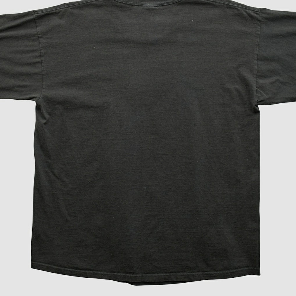Pittsburgh Steelers NFL 2000s Long Sleeve T-shirt - Black T-shirts