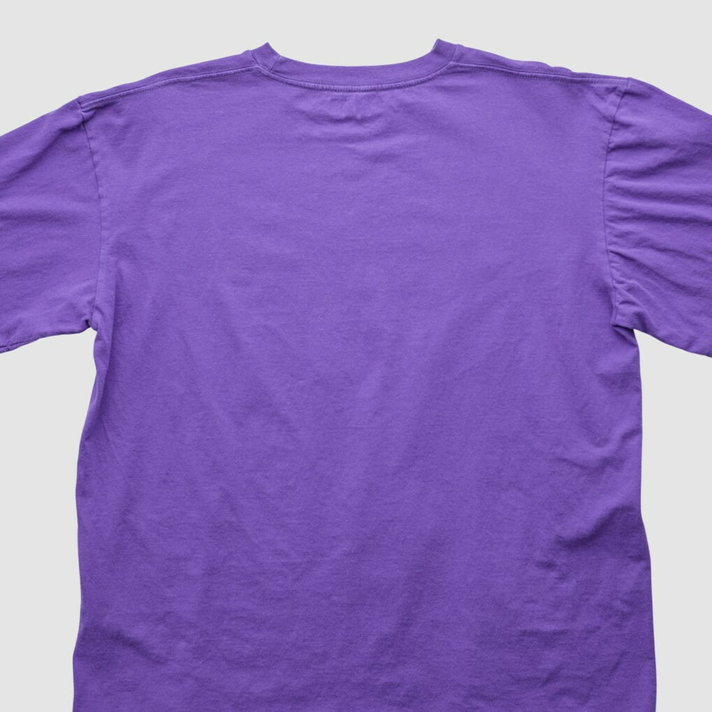 Minnesota Vikings NFL 2000s T-shirt - Purple T-shirts