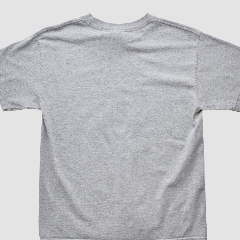 Denver Broncos NFL 2000s T-shirt - Heather Gray T-shirts