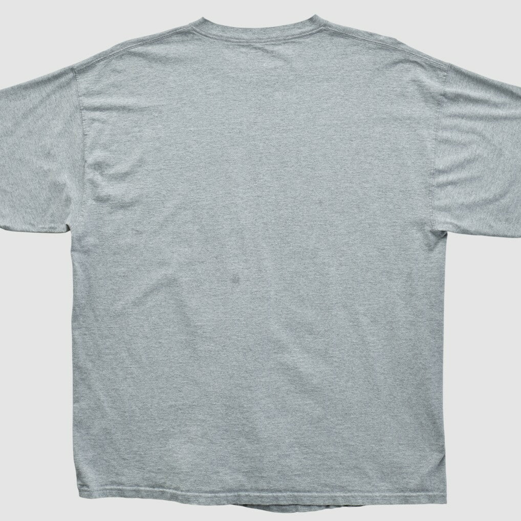 Miami Dolphins NFL 2000s T-shirt - Heather Gray T-shirts
